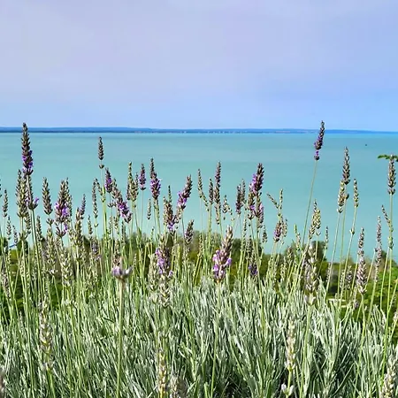 Fenyves Casă la țară Balatonakarattya